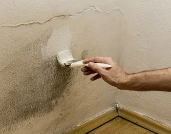 How to Fix Common Home Wear and Tear Problems