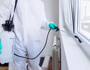 Safe and Affordable Pest Control Solutions