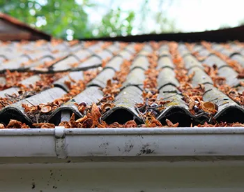 Seasonal Home Maintenance Considerations