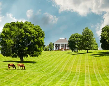 6 Things to Consider Before Buying a Home With Acreage