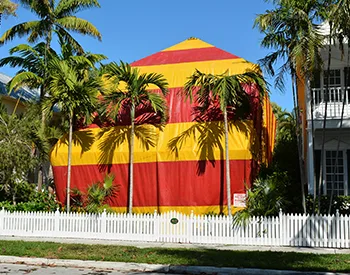 Tips for Finding a Home Fumigation Service
