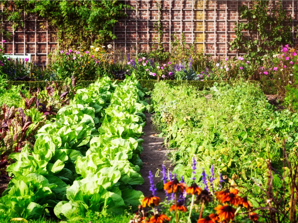 Gardening 101: How to Start a Vegetable Garden