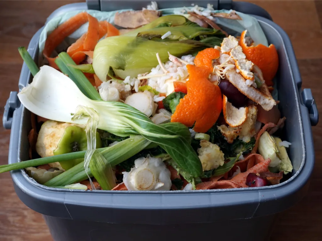 Re-Purposing Food Waste
