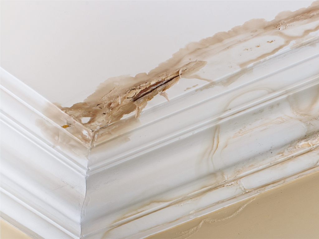 5 Common Roofing Problems
