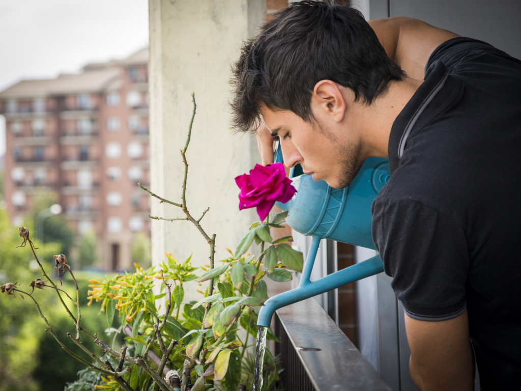 Gardening 101: How to Start a Flower Garden