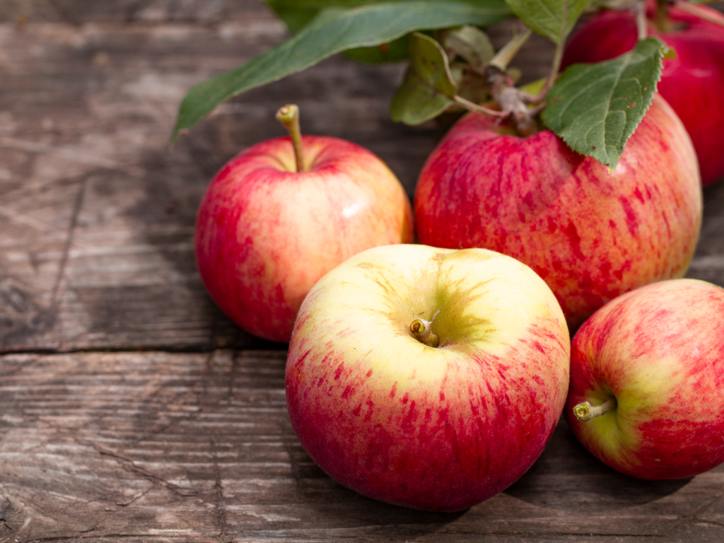Gardening 101: How to Start a Fruit Garden