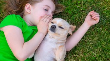 Do Pets in the House Make for Healthier Children?