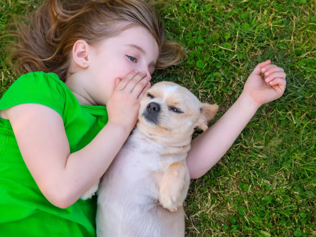 Do Pets in the House Make for Healthier Children?