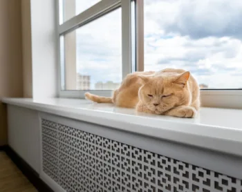 How to Find Pet-Friendly Rentals (and Negotiate Pet Policies)